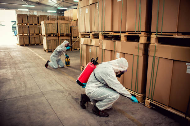 Best Pest Inspection Near Me  in South Euclid, OH