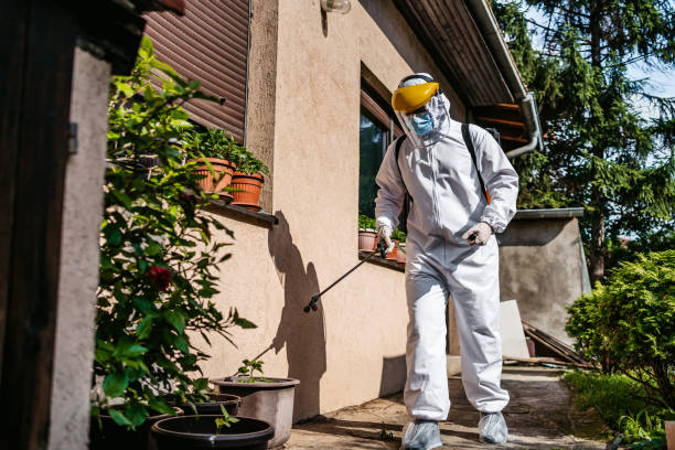 Professional Pest Control in South Euclid, OH