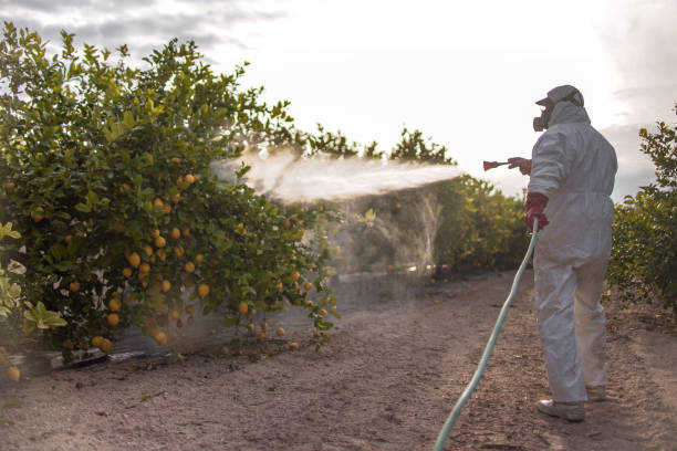 Best Exterminator Services  in South Euclid, OH