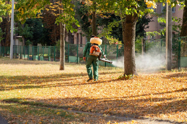 Best Affordable Pest Control Services  in South Euclid, OH